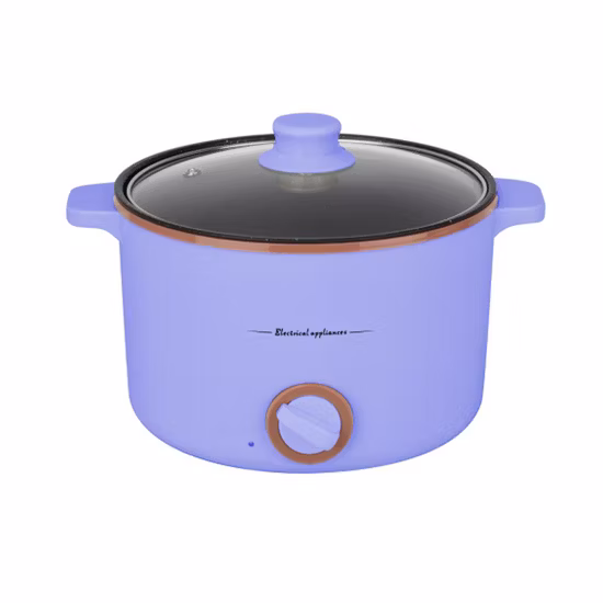 Multifunktionaler integrierter Hot Pot für den Haushalt, Schlafsaal-Topf, kleiner Nudeltopf, kleiner Elektroherd